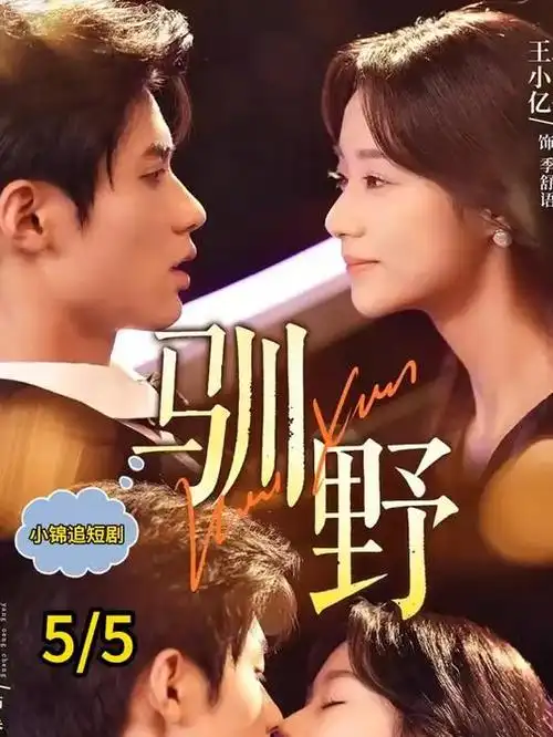 剧集集数缩短与完播率关系分析